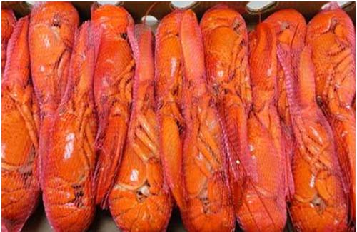 熟冻龙虾，加拿大产